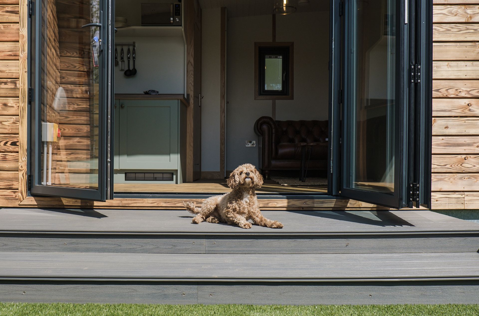 Dog outside Bankside Bothy