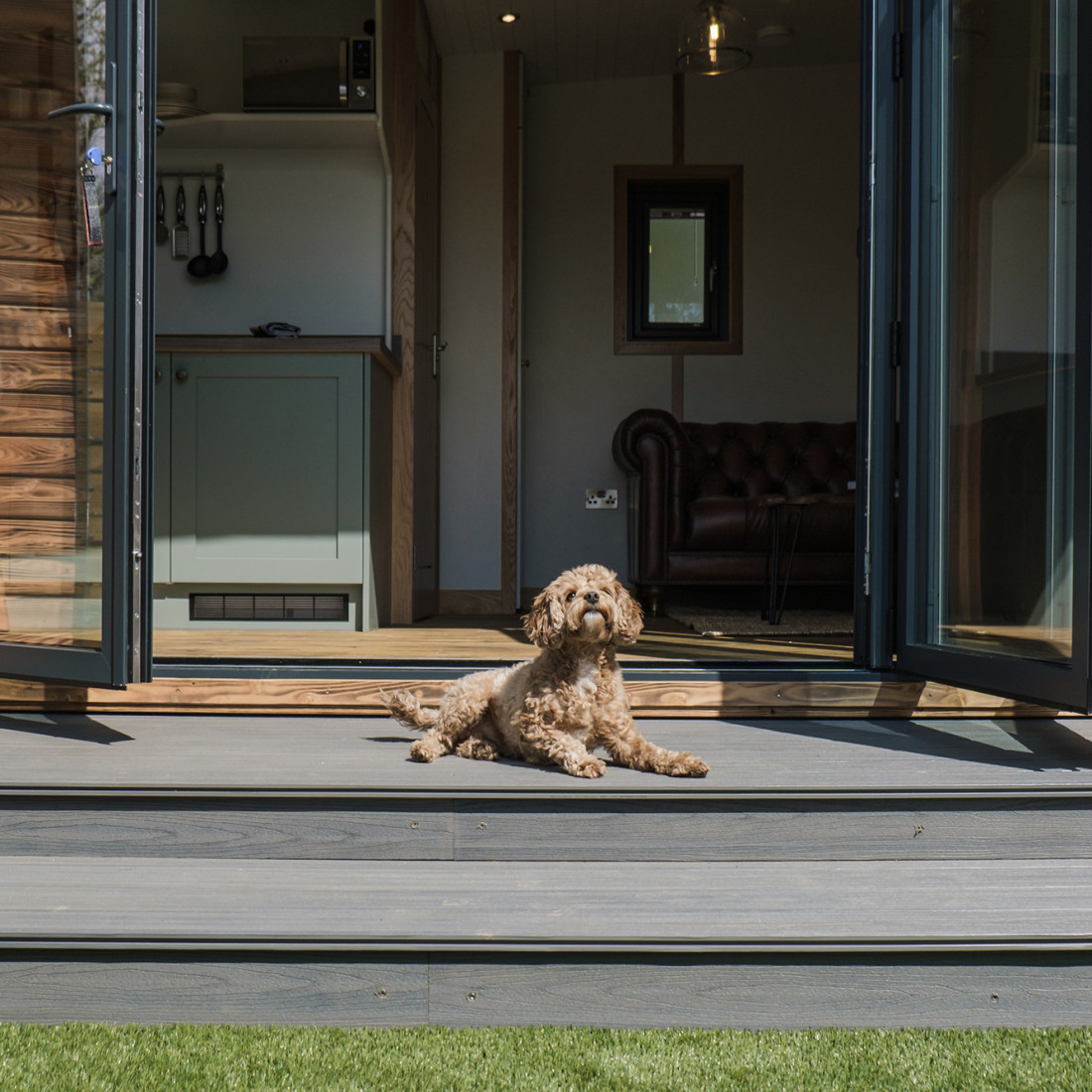 Dog outside Bankside Bothy