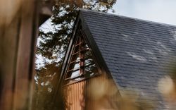 Buddon burn suite in trees