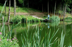 People fishing in fishing pond
