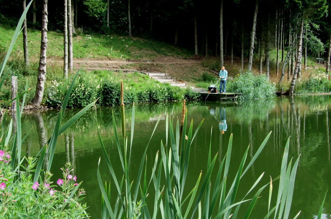 People fishing in fishing pond