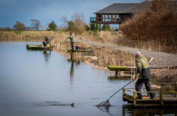 People fishing in fishing pond