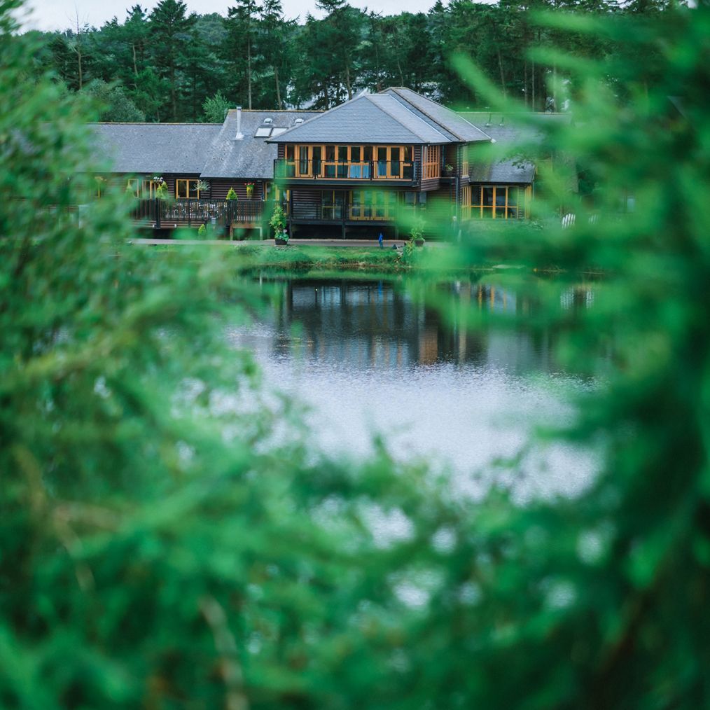 View of main building through trees