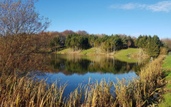 Burnside pool