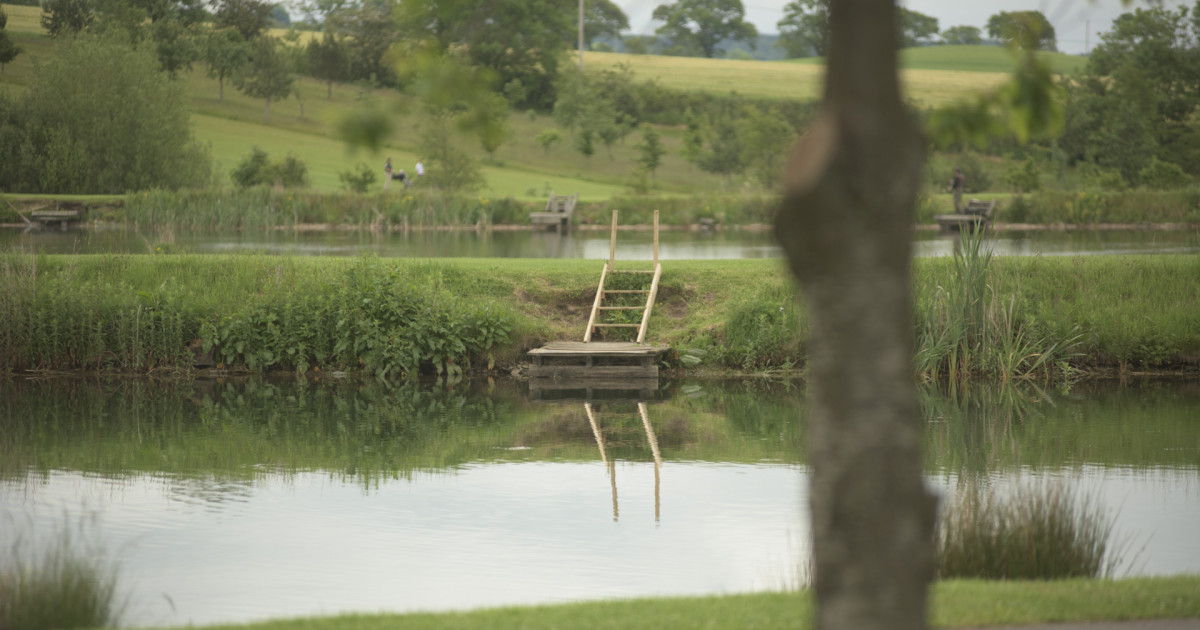 Forbes of Kingennie Golf Course - Image 5