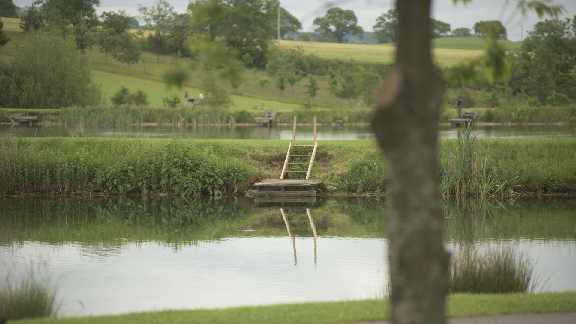 Burnside pool fishing pond