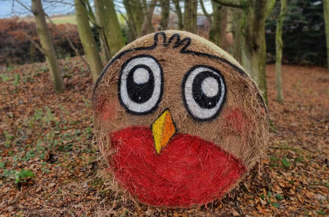 Robin Decorated Hay Bail