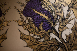 Thistle Wallpaper in the Scullery