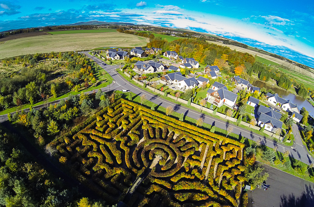 The Angus Thistle Maze