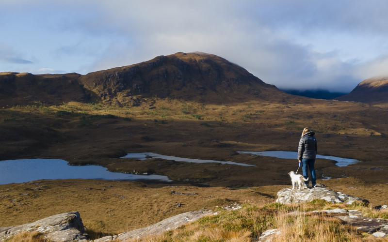 Hiker with a dog standing on a rocky hill, overlooking a scenic mountain landscape.