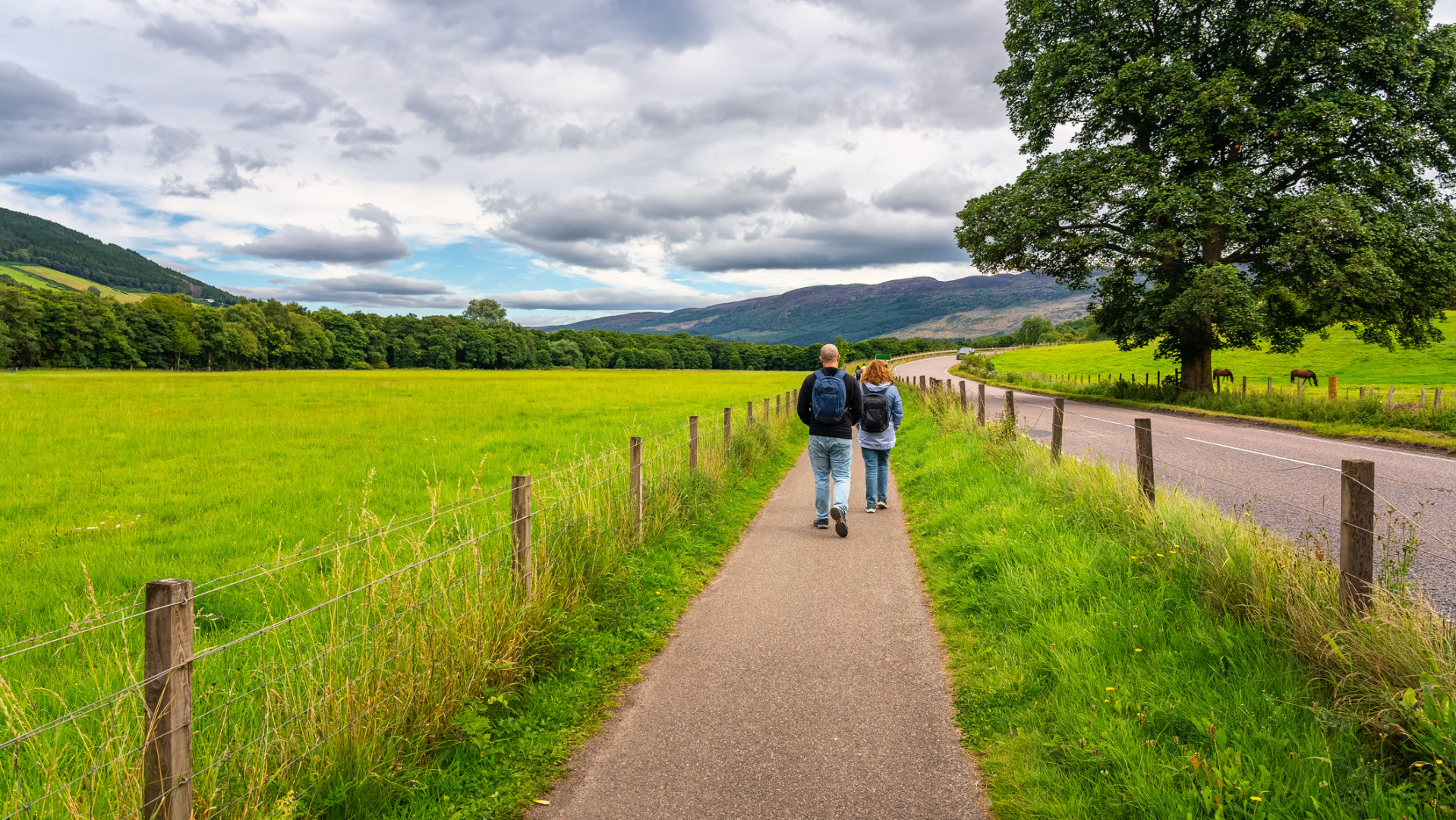 Two people wearing backpacks walk along a paved path beside a lush green field under a cloudy sky, with a large tree on the right and mountains visible in the distance.