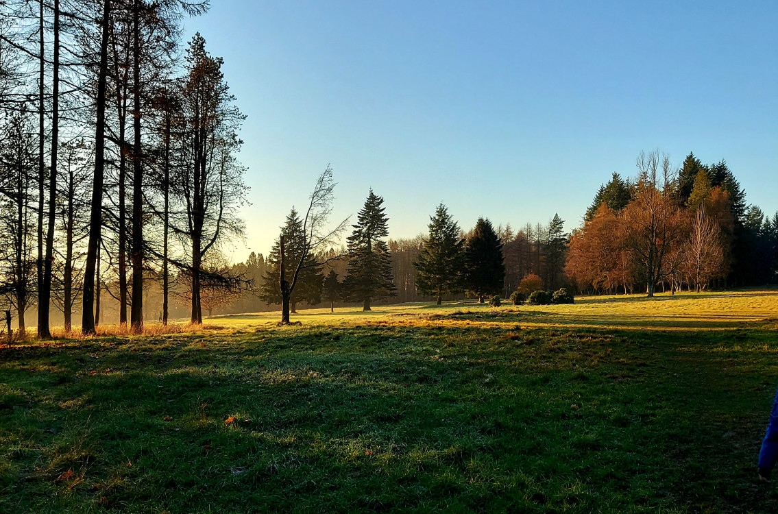 GettyImages-2164674212