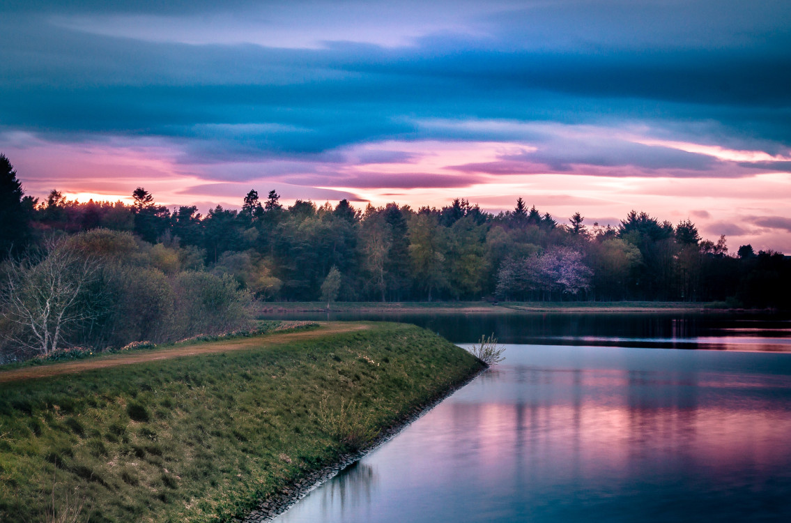 A serene lake reflecting the colorful hues of a sunset, with a grassy bank in the foreground and a dense line of trees silhouetted against the dramatic sky in the background.