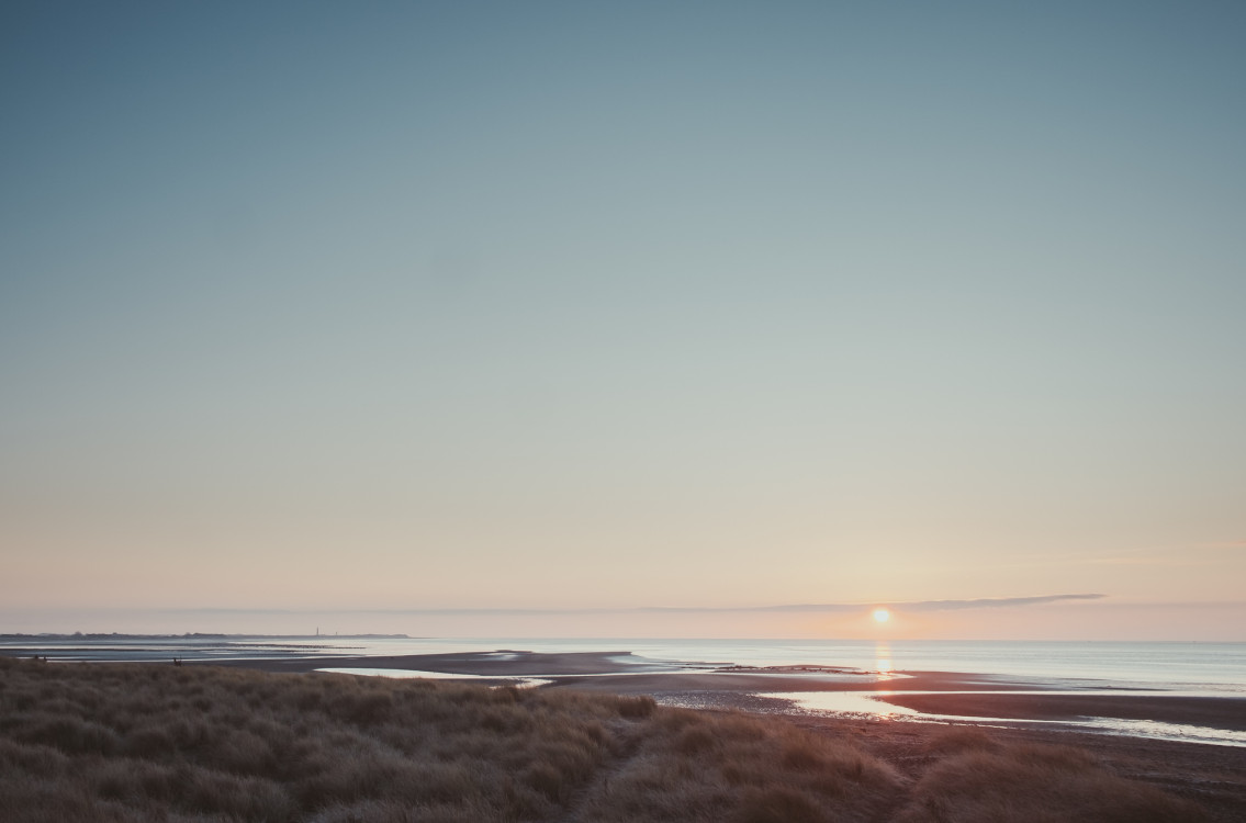 A tranquil coastal landscape at sunrise, with the sun rising over calm waters, reflecting soft pastel colors in the sky, and a foreground of tall grasses covering sandy dunes.