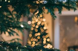 mourad-saadi-ZXbeOqF1NFQ-unsplash (1)