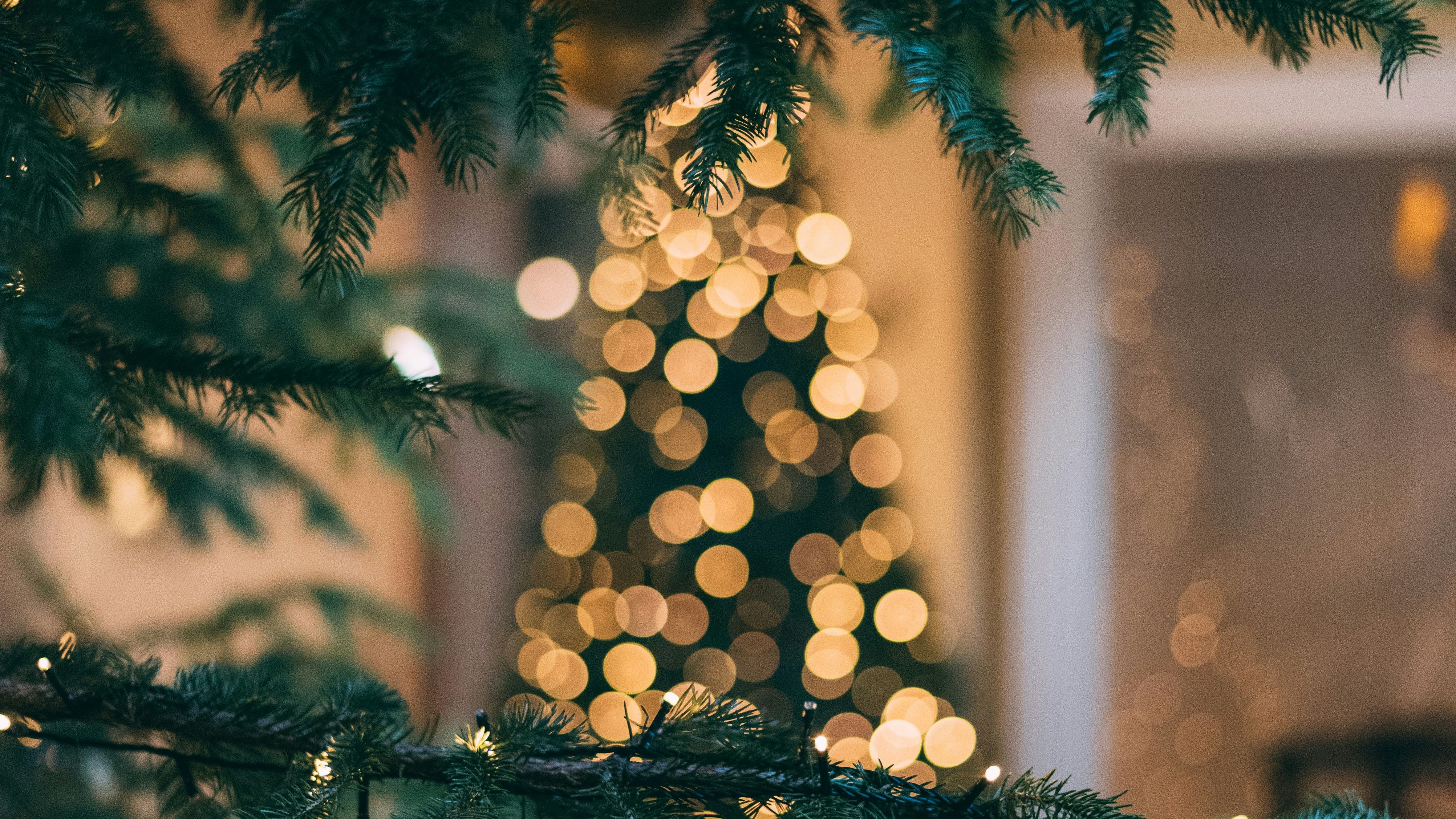 mourad-saadi-ZXbeOqF1NFQ-unsplash (1)