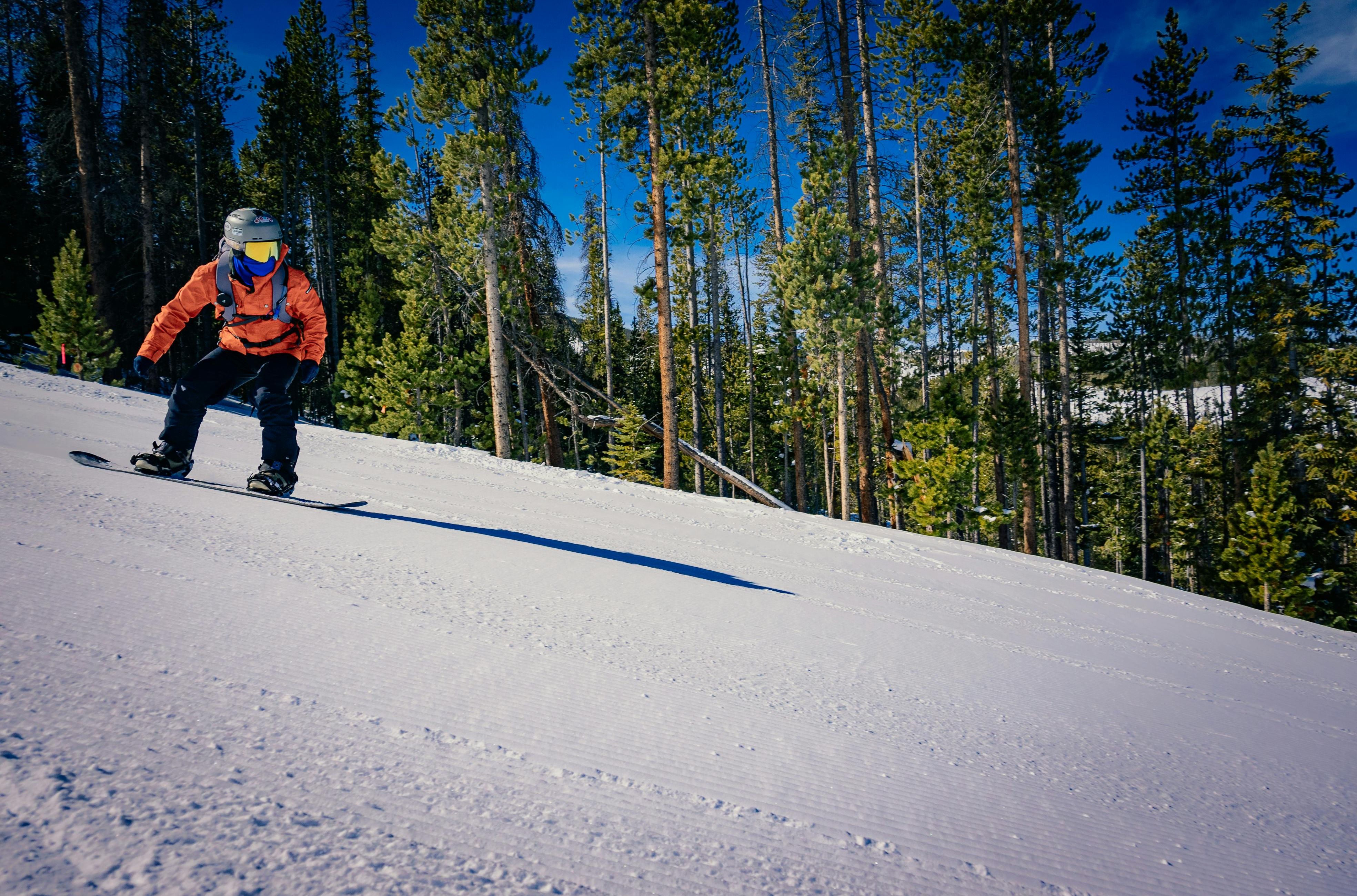 A snowboarder in an orange jacket and black pants rides down a snowy slope, surrounded by tall pine trees under a clear blue sky. The shadow stretches across the snow.