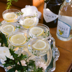 GuestNet wedding (18)