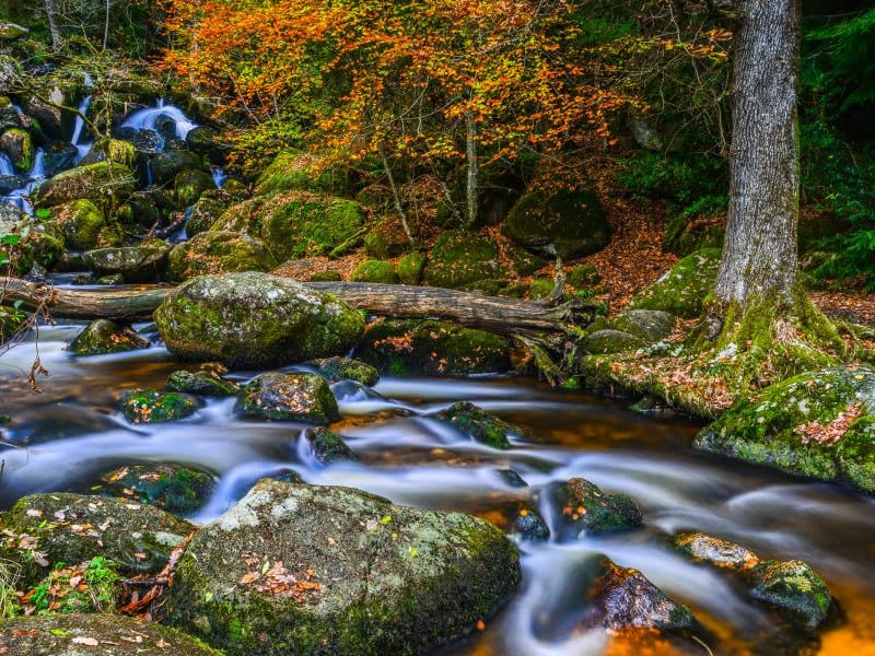 Becky Falls Dartmoor Devon Furzeleigh Mill Buckfastleigh Buckfast Abbey Ashburton