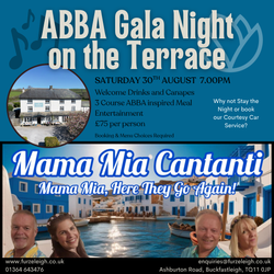 Abba Night