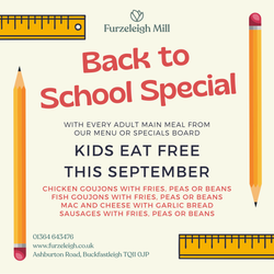 Back to School Special