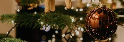 Christmas tree decorated with a wooden moose ornament and a shiny bronze bauble