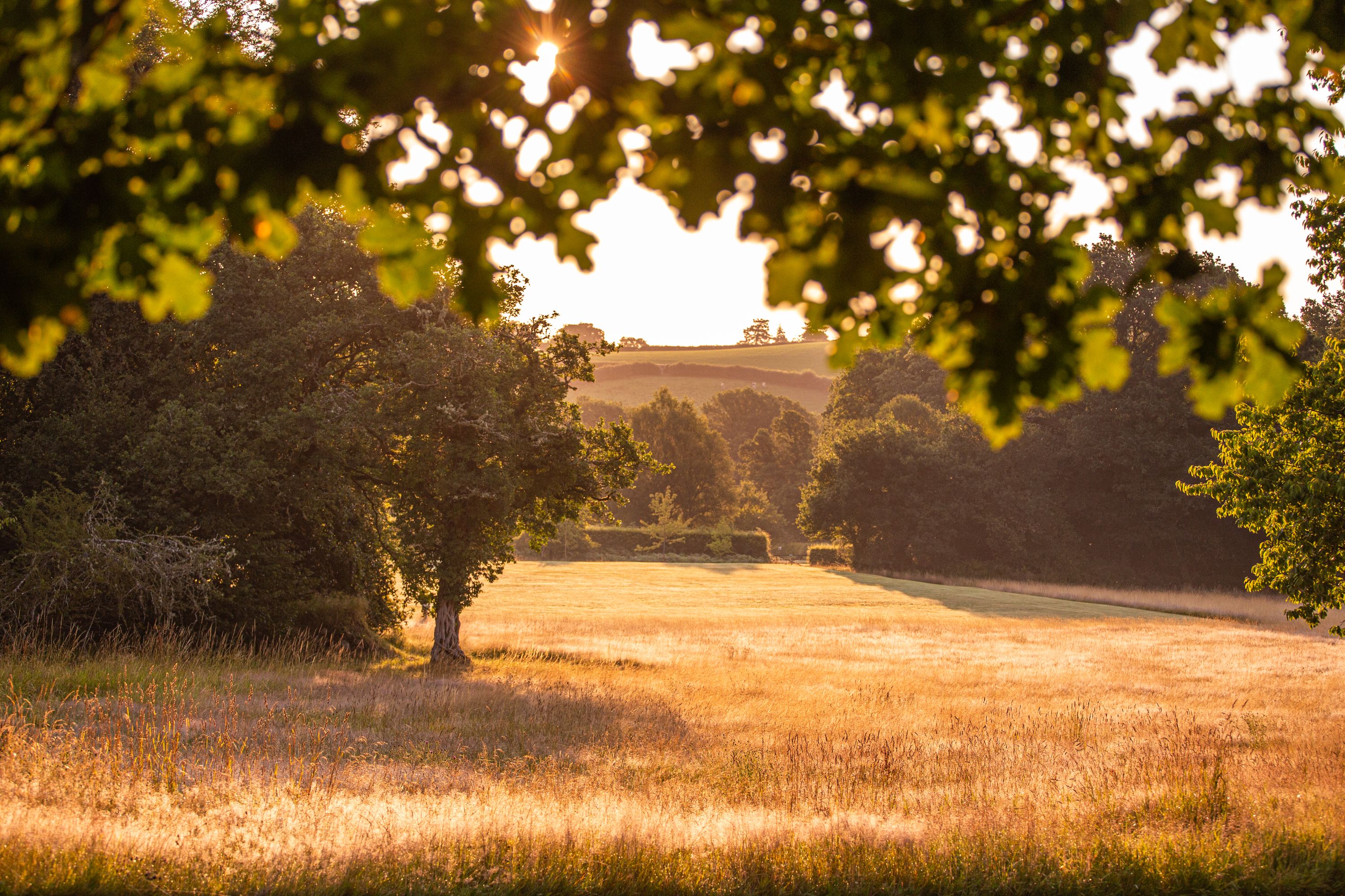 Gidleigh Park Grounds