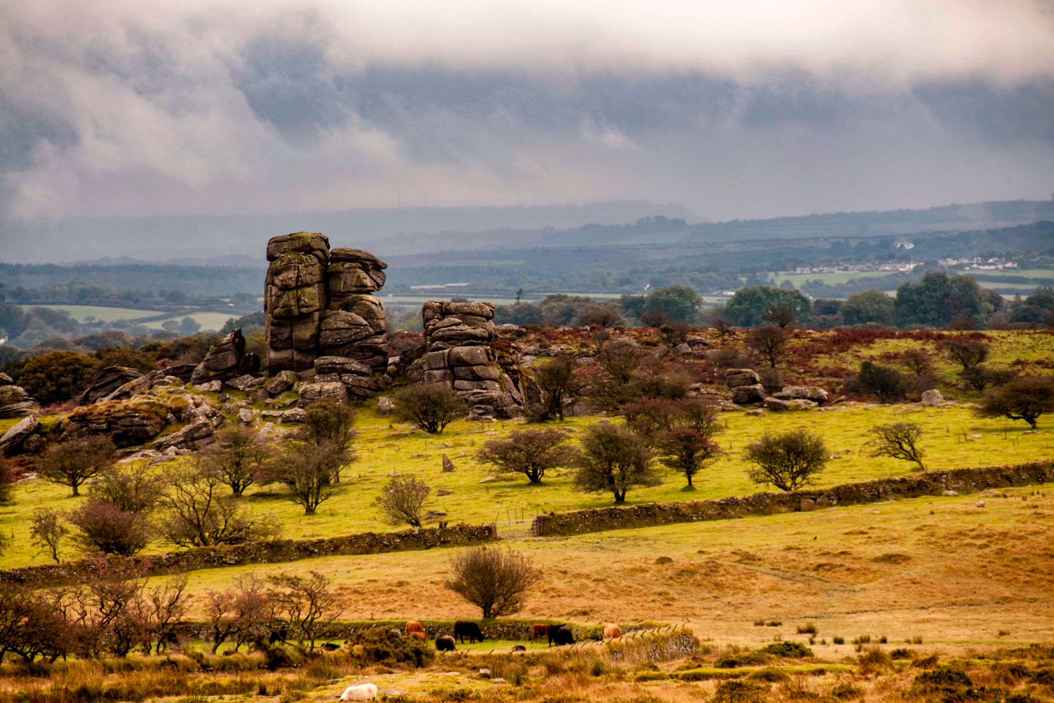 A rugged landscape with Vixen Tor surrounded by a grassy field dotted with scattered trees and grazing animals. Overcast skies and distant hills create a moody, atmospheric scene.