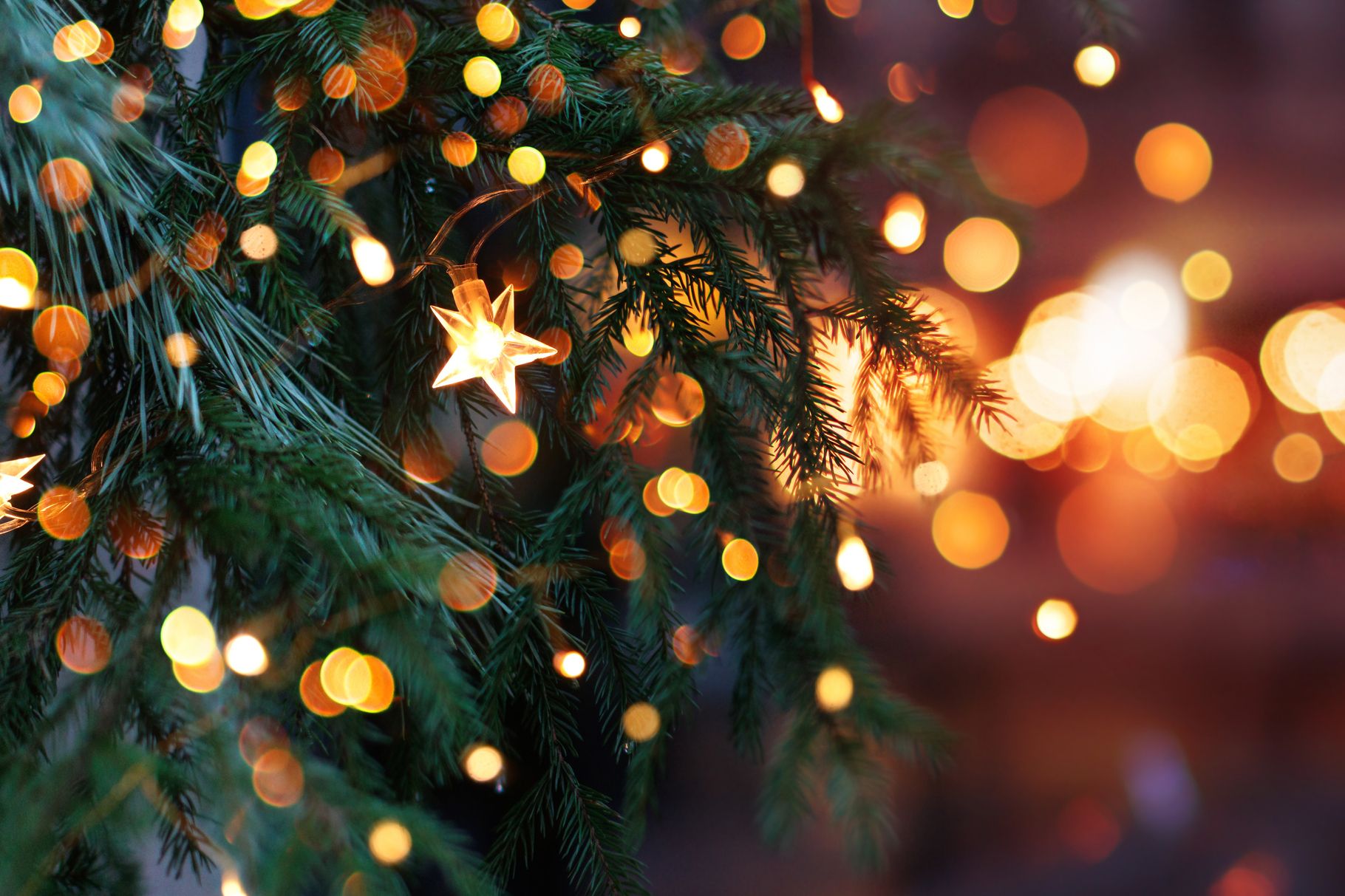A close-up of evergreen branches adorned with glowing star-shaped lights, set against a background of warm, golden bokeh, evoking the charm of Christmas in Devon.