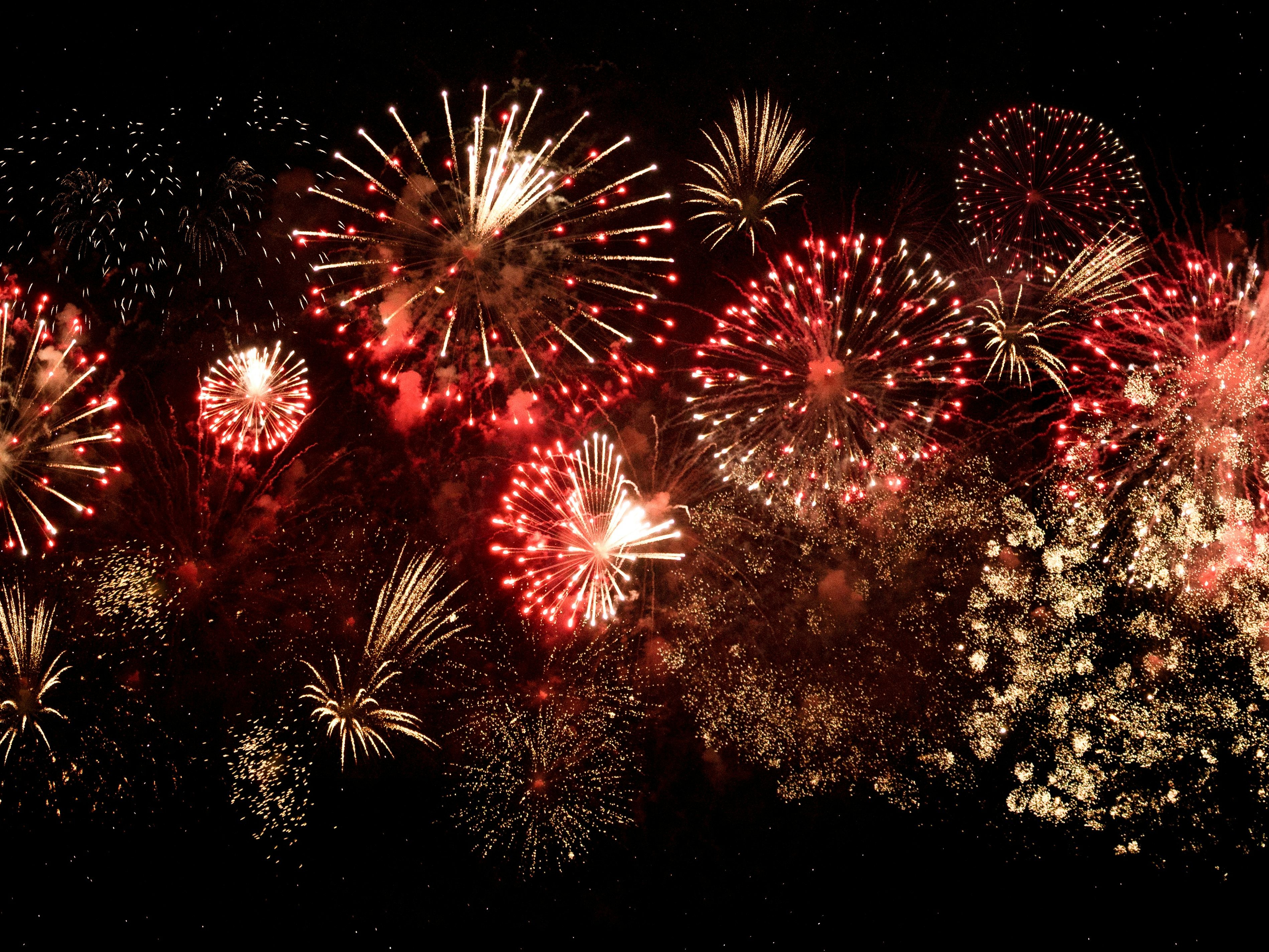 designecologist-5mj5jLhYWpY-unsplash