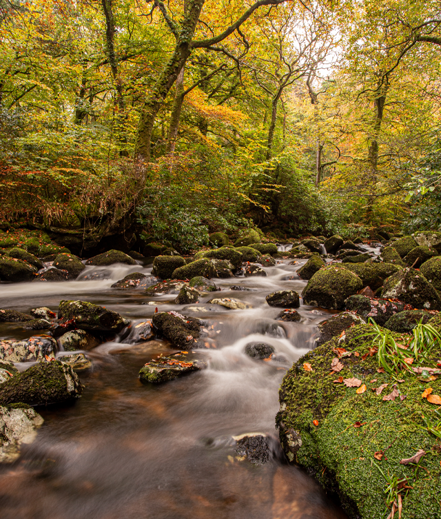 2025-GPA-Autumn-Colours-640x753
