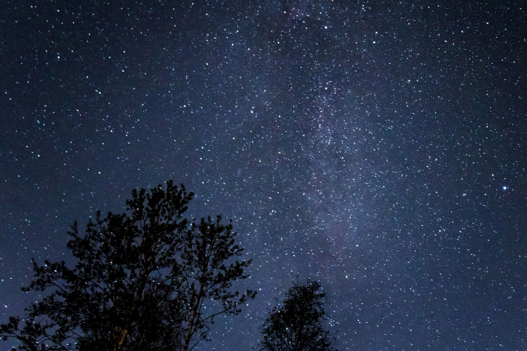 Stars at Gidleigh Park
