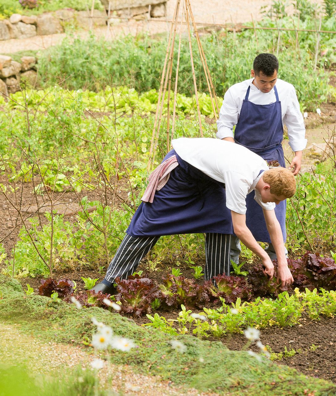 GPA_Fork_To_Fork_1920