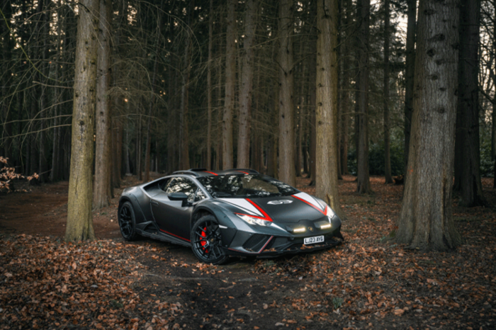 Supercar in woods