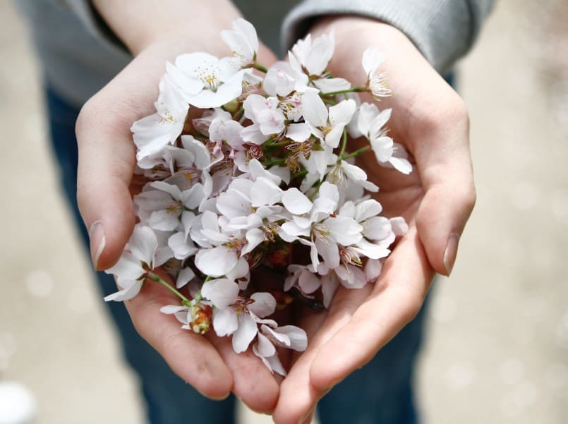 Sustainable practices