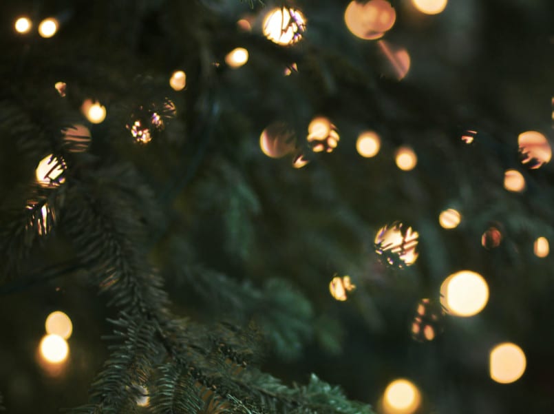 morgane-le-breton-Ym4my-Xj8EY-unsplash