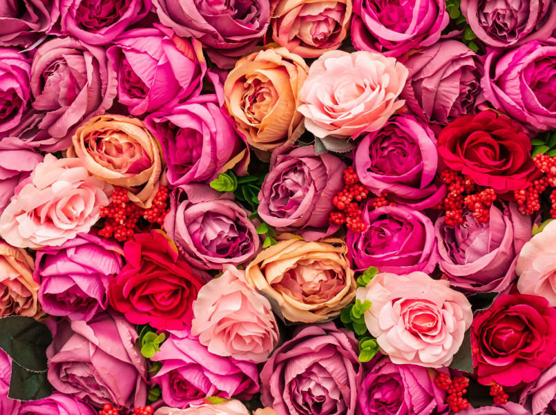 nick-fewings-sAXmSLecOPk-unsplash