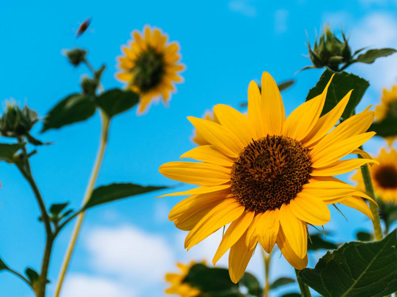 Gift Voucher Brilliance Top Tips