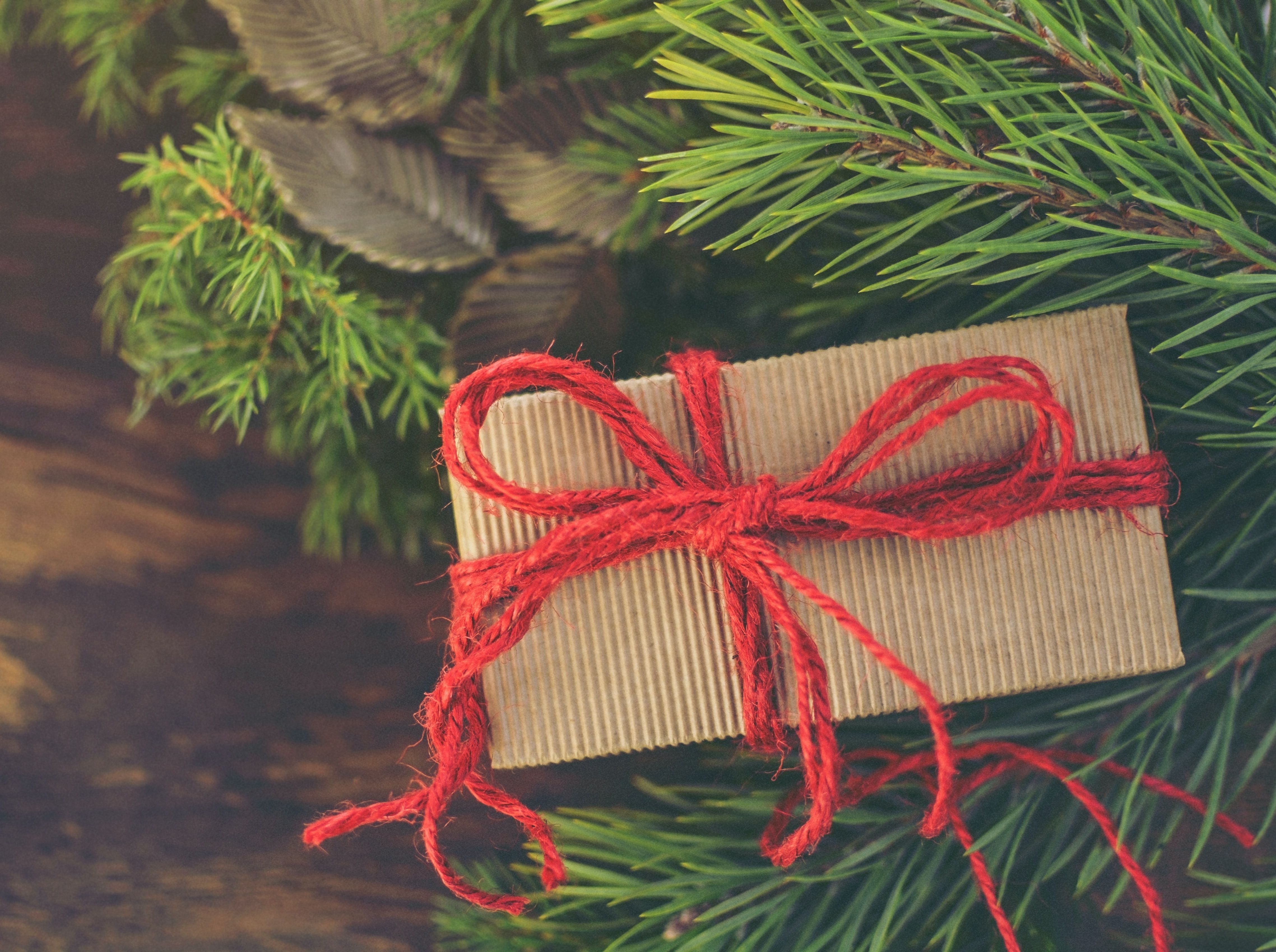 Gift voucher in Christmas tree with red ribbon