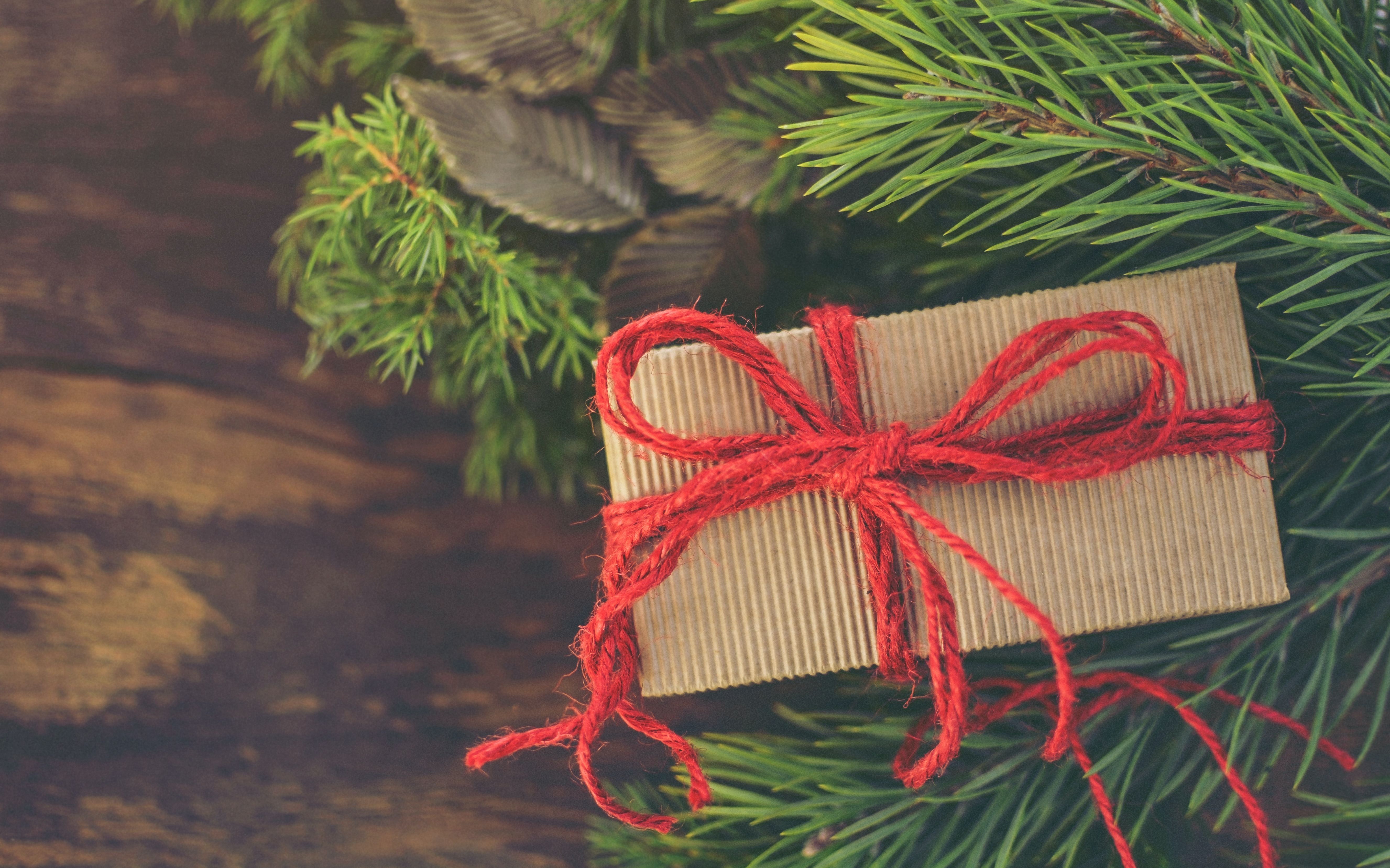 Gift voucher in Christmas tree with red ribbon