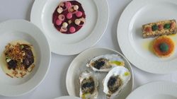 An assortment of gourmet dishes served on white plates, artistically arranged on a white tablecloth.
