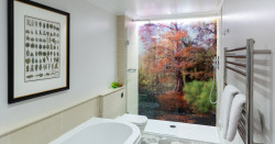 Feature bedroom shower and bath
