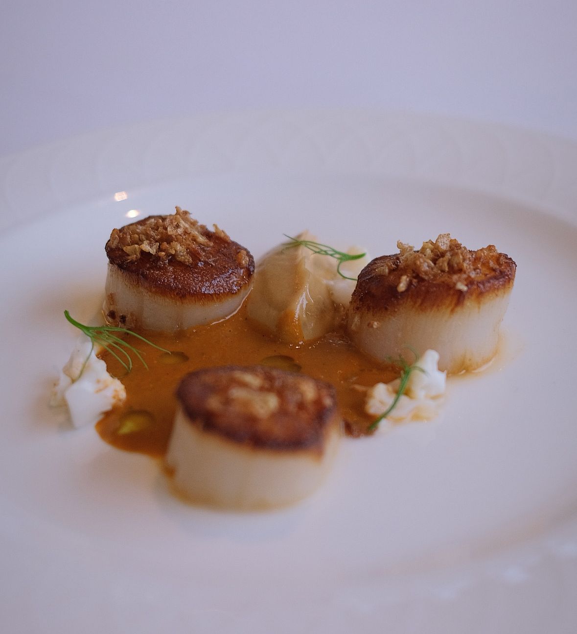 Seared scallops plated with sauce and garnishes on a white plate