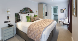 Agapanthus bed