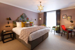 Papava wider room