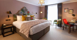 Papava wider room