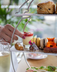 Afternoon Tea GH 21.07.21-545