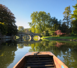 Punting boat front