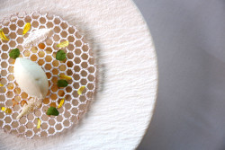 Terrace restaurant food