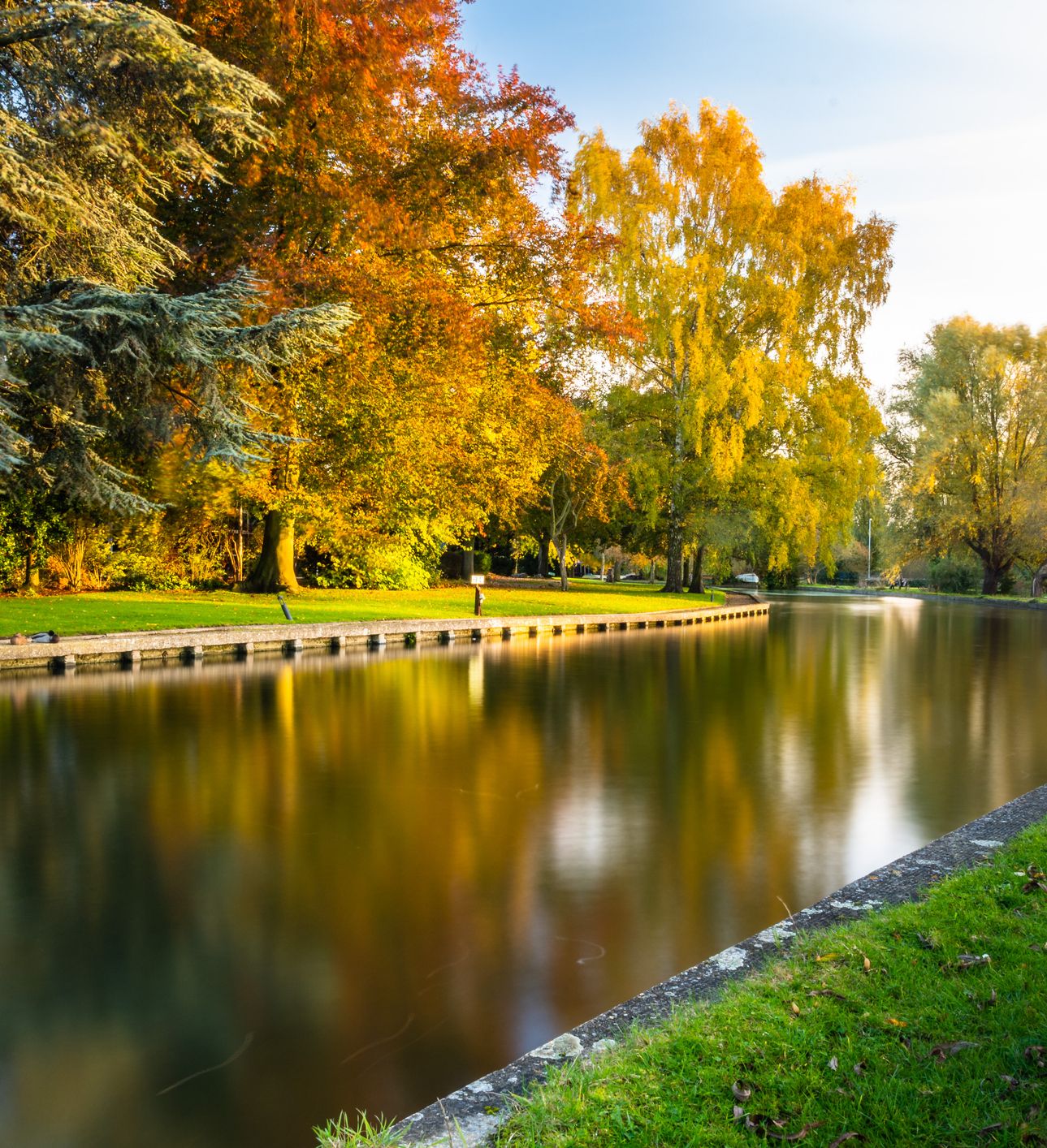 A calm river reflecting the golden hues of autumn trees lining its banks, with green grass and a soft glow of sunlight filtering through the branches.
